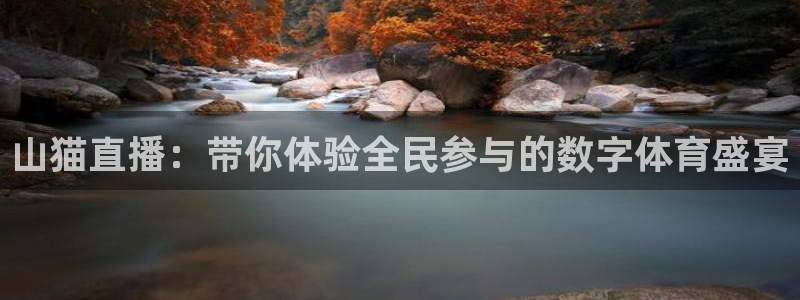 搜球吧在线直播免费观看：山猫直播：带你体验全民参与的数字体育盛宴