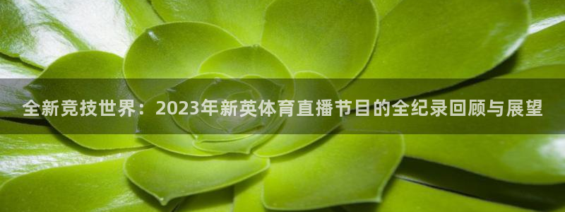 nba搜球吧直播：全新竞技世界：2023年新英体育直播节目的全纪录回顾与展望