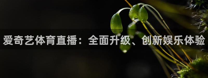 搜球吧直播nba直播：爱奇艺体育直播：全面升级、创新娱乐体验