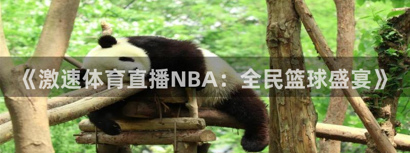 搜球吧8直播免费观看：《激速体育直播NBA：全民篮球盛宴》