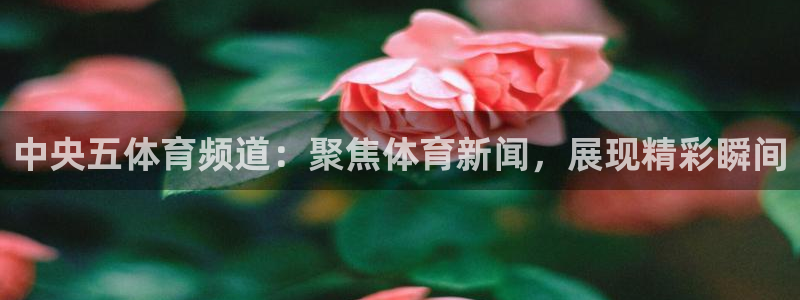 搜球直播体育：中央五体育频道：聚焦体育新闻，展现精彩瞬间