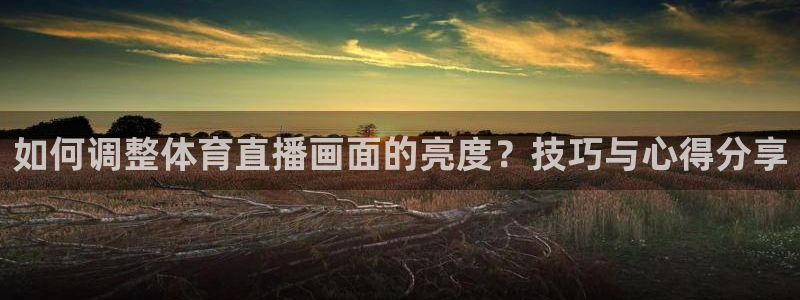 搜球8直播nba直播：如何调整体育直播画面的亮度？技巧与心得分享