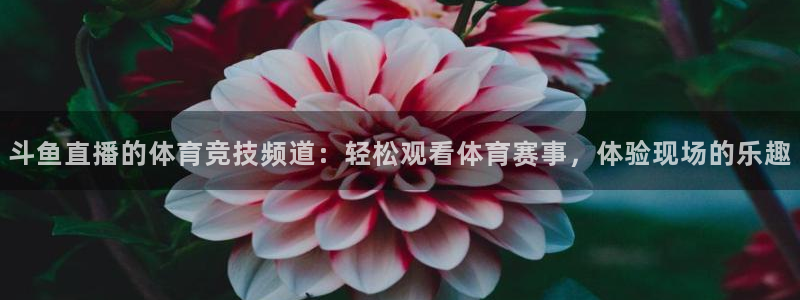 搜球吧在线直播免费观看：斗鱼直播的体育竞技频道：轻松观看体育赛事，体验现场的乐趣