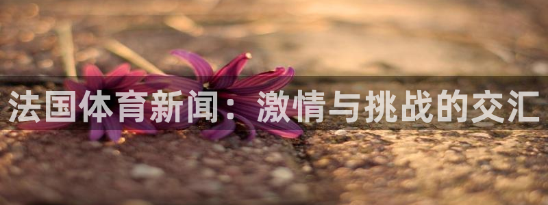 搜球8直播nba直播：法国体育新闻：激情与挑战的交汇
