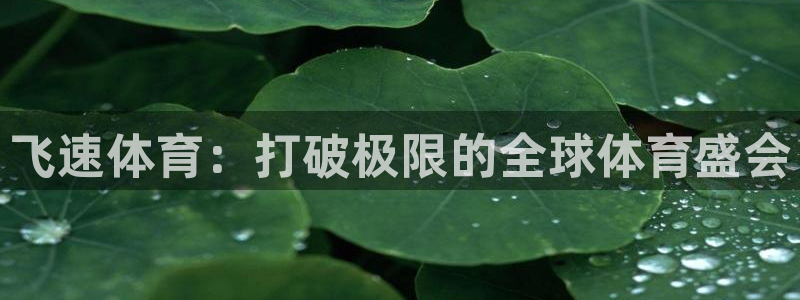 搜球吧在线直播nba：飞速体育：打破极限的全球体育盛会