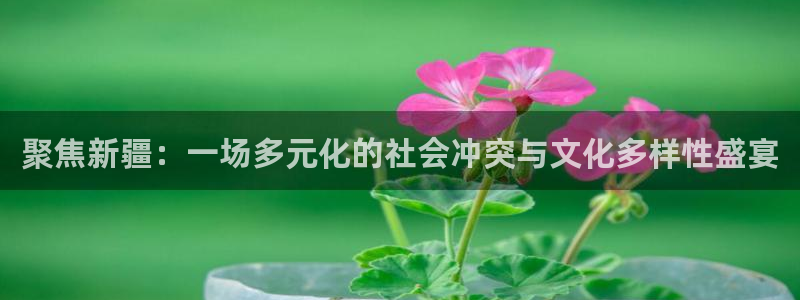 nba直播搜球吧：聚焦新疆：一场多元化的社会冲突与文化多样性盛宴