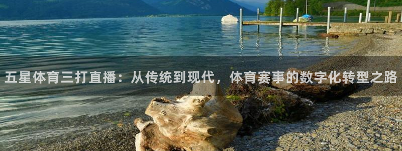 搜球8直播：五星体育三打直播：从传统到现代，体育赛事的数字化转型之路