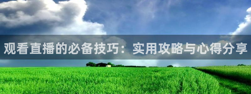 搜球吧零点吧nba直播：观看直播的必备技巧：实用攻略与心得分享